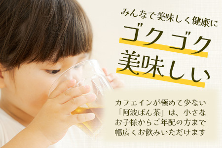 伝統製法 阿波ばん茶 250g 1袋【徳島県 那賀町 徳島 那賀 お茶 茶葉 阿波ばん茶 番茶 晩茶 乳酸菌 特産品 国産 発酵茶 茶 発酵 新茶 お取り寄せ お土産】YS-33