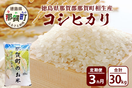 お米 白米 定期便3回 那賀町のお米 コシヒカリ 定期便 米 お米 白米 精米  YS-15