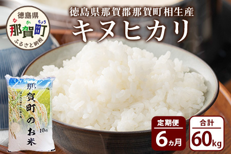 お米 白米 定期便6回 那賀町のお米 キヌヒカリ 定期便 米 お米 白米