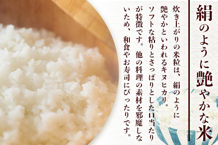 お米 白米 定期便6回 那賀町のお米 キヌヒカリ 定期便 米 お米 白米