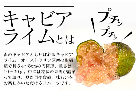 【冷凍】キャビアライム（ピンク）100g（8～15個）徳島産 OM-8