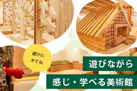 【入館券】那賀町山のおもちゃ美術館【大人1名（高校生以上）】 CA-4 徳島 那賀 おもちゃ美術館 おもちゃ 美術館 チケット 入場券 知育 木育 遊べる美術館 体験 体験型 こども 子供 子ども 親子 遊び場 木 柚子 茶葉 那賀町 林業 森林 自然 魅力 温もり
