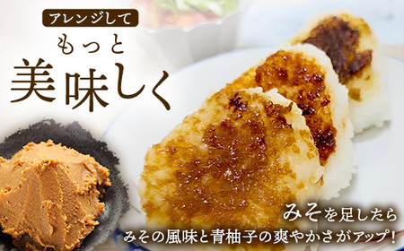 木頭柚子ごしょう青 45g×4個【徳島県 那賀町 木頭ゆず 木頭柚子 ゆず ユズ 柚子 ゆずこしょう 柚子胡椒 胡椒 こしょう 調理みそ 調味料 万能 薬味 瓶 国産 手作り お取り寄せ お土産】KM-26