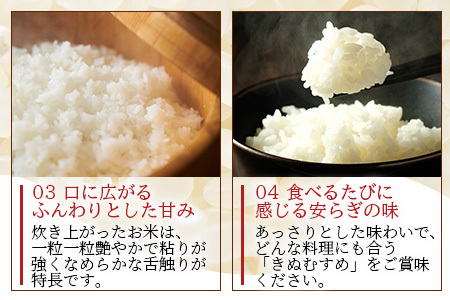  「令和6年産 新米 先行受付」 那賀町相生産 きぬむすめ 白米 5kg 1袋 「2024年10月上旬より発送」 【徳島 那賀 国産 徳島県産 お米 こめ おこめ 米 ご飯 ごはん 白ご飯 白米 5キロ 和食 おにぎり お弁当 白米 精米 おいしい 食べて応援 お取り寄せ 産地直送】YS-34