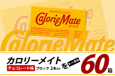 【3回定期便】≪チョコレート味≫ カロリーメイトブロック 2本入り 計20箱 ×3回 合計60箱【定期便 徳島 那賀 大塚製薬 カロリーメイト チョコ ビタミン ミネラル たんぱく質 脂質 糖質 5大栄養素 バランス栄養食 栄養補給 仕事 勉強 スポーツ 防災 災害 地震 非常食 常備食 備蓄 受験 受験応援 新生活】MS-5-3-choco