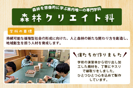 ≪お歳暮ギフト≫「木頭杉の積み木セット」徳島県立那賀高等学校 森林クリエイト科制作【徳島県 徳島 那賀町 高校生制作 積木 積み木 知育 木育 玩具 おもちゃ 知育玩具 木の積み木 幼児 教育 木頭杉 杉 天然木 木製 無塗装 国産 手作り】 NK-01-O