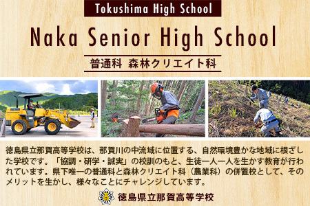 ≪お歳暮ギフト≫「木頭杉の積み木セット」徳島県立那賀高等学校 森林クリエイト科制作【徳島県 徳島 那賀町 高校生制作 積木 積み木 知育 木育 玩具 おもちゃ 知育玩具 木の積み木 幼児 教育 木頭杉 杉 天然木 木製 無塗装 国産 手作り】 NK-01-O