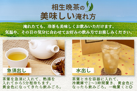 手造り発酵茶 相生晩茶 200g【徳島県 那賀町 相生晩茶 晩茶 番茶 国産 乳酸菌 特産品 発酵茶 お茶 茶葉 煮出し 水出し 飲料 食事 お取り寄せ お土産 ギフト プレゼント 伝統製法 手作り 数量限定 期間限定 生産者直送】TN-01