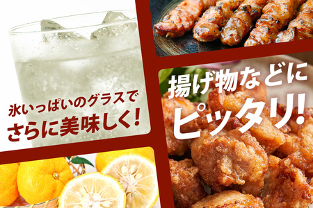 【12回定期便】木頭ゆずチューハイ 350ml×24本入り 計288本【徳島 那賀 木頭ゆず 木頭柚子 ゆず 柚子 かんきつ 柑橘 お酒 酒 3% サワー チューハイ 缶酎ハイ 柚子チューハイ 缶チューハイ 酎ハイ 柚子酒 果汁 丸絞り 炭酸 アルコール 定期便 お取り寄せ 人気 おすすめ 贈物 ギフト】AK-7