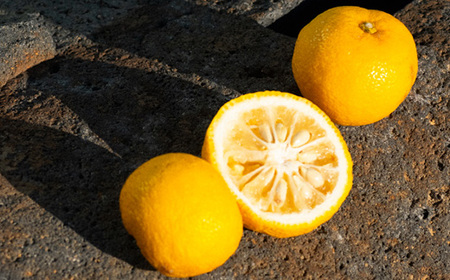 【SHIRO】ゆずオイルインセラム 30ml [01802]