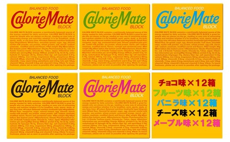 カロリーメイトブロック5つの味 4本入り5種類各12箱 計60箱 栄養補給 エネルギー補給 防災 備蓄品 テレワーク リモートワーク 在宅勤務