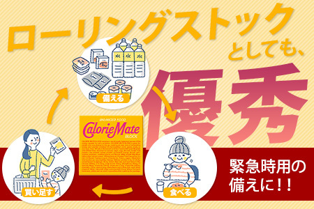 【大塚製薬】カロリーメイトブロック 4本入り60箱 ≪メープル味≫［徳島 那賀 カロリーメイト メープル ビタミン ミネラル たんぱく質 脂質 糖質 5大栄養素 バランス栄養食 栄養補給 仕事 勉強 スポーツ 防災 災害 地震 非常食 常備食 備蓄 受験 受験応援 新生活 大塚製薬］【MS-3-4】