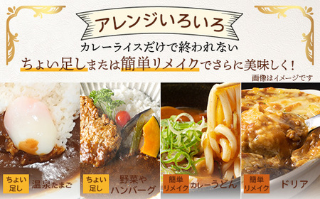 ご当地 カントリーロードのカレー 各200g×計10袋 (甘口×10)【徳島 那賀 カントリーロード 10食 手作り カレー 本格カレー カレールー レストランカレー 濃縮 スパイス フルーツ 野菜 美味しい 人気 おススメ お取り寄せ グルメ 冷蔵】CR-5