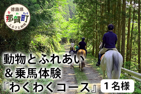 動物ふれあい＆乗馬体験 『わくわくコース』約30分 1名【徳島県 那賀町 乗馬 馬 動物 体験チケット 体験型 観光乗馬 ふれあい 観光 旅行 遊び アクティビティ お出かけ レジャー アウトドア アニマルセラピー 癒し リフレッシュ クラブコルツ】CC-2