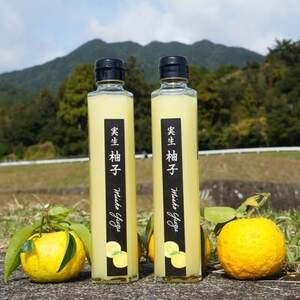 実生ゆず果汁　200ml  2本入り【配送不可地域：離島】【1135669】