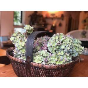 紫陽花のドライフラワーリース【1323152】