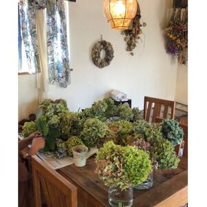 紫陽花のドライフラワーリース【1323152】