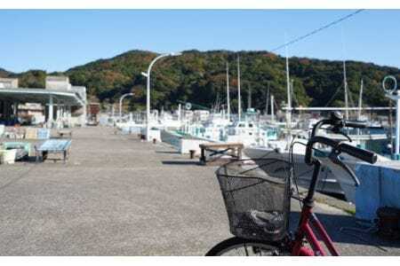 漁港直送!はまみや海産 伊勢エビ一夜干<10月~12月頃>【30セット限定】