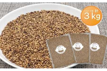 美波町産 もち麦 3kg(1kg×3袋)