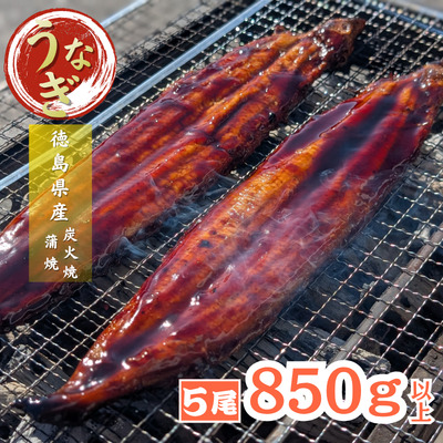 徳島県産　うなぎ蒲焼　こだわりの炭火焼　大きめ5尾（170ｇ×5尾）