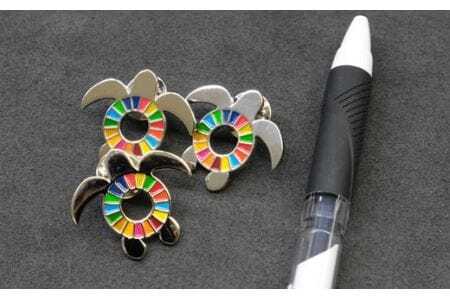 美波町 SDGs カメ ピンバッジ