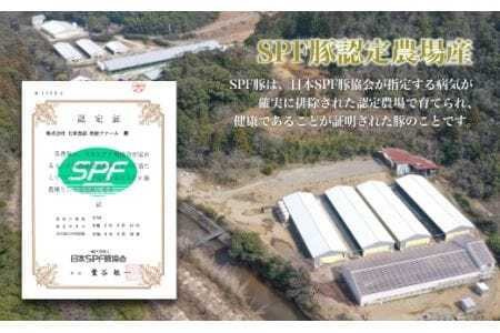 本気豚プレミアムロースハム 1.3㎏