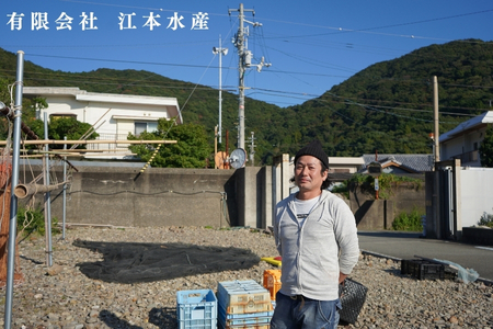 漁師たつ兄の真牡蠣オイル漬け２本