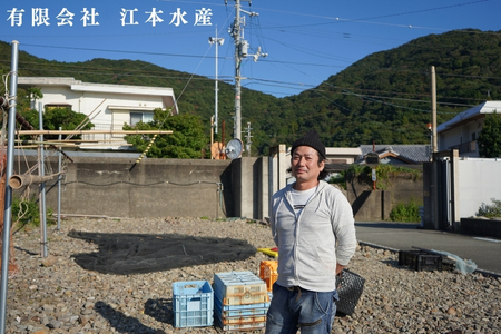 漁師「たつ兄」の詰合せセット（全4種）