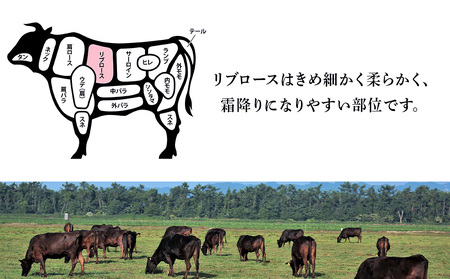 【定期便 12カ月】 北海道 白老産 黒毛和牛 リブロース すき焼き 500ｇ (2・3人前) BS043
