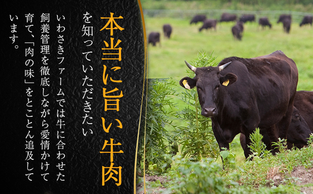 いわさき黒毛和牛 創業ハンバーグ 120g×5個 冷凍 白老和牛 和牛 牛肉 100％ ギフト AB021