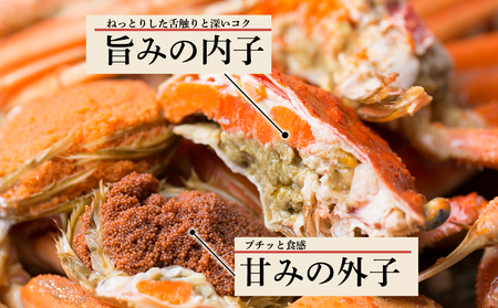 北海道産 生大ズワイガニ メス 1kg （加熱用） ずわいがに 蟹 〈斉藤水産〉AM091