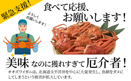 訳あり オオズワイガニオス 大サイズ (約400-500g) 浜ゆで 2kg (4～5尾入)  ボイル 北海道 AS115