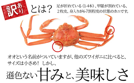 訳あり オオズワイガニオス 大サイズ (約400-500g) 浜ゆで 2kg (4～5尾入)  ボイル 北海道 AS115