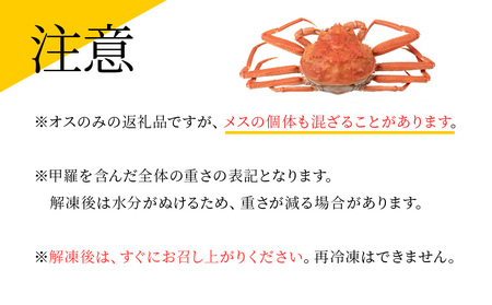 訳あり オオズワイガニオス 大サイズ (約400-500g) 浜ゆで 2kg (4～5尾入)  ボイル 北海道 AS115