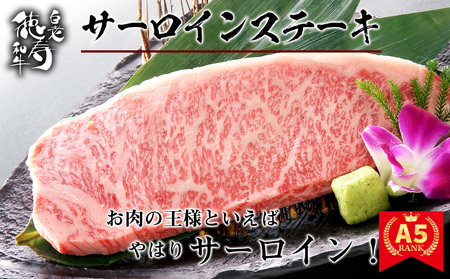 サーロインステーキ&粗挽き生ハンバーグセット 白老牛 北海道 徳寿 BJ081