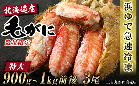 【特大】北海道産 冷凍ボイル毛ガニ (900g-1kg前後) 3尾 AS121