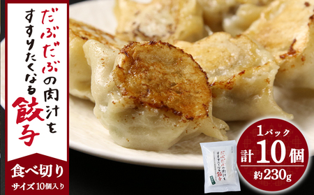 だぶだぶの肉汁をすすりたくなる餃子 10個（10個入×1パック） BE011