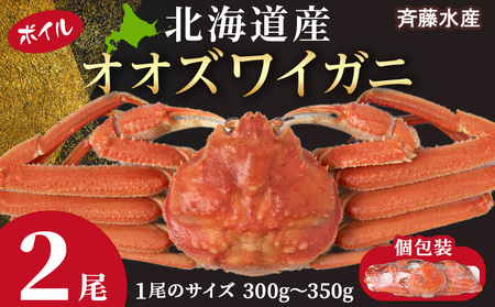 北海道産 大ズワイ 300g～350g ×2尾 ＜斉藤水産＞ オオズワイ 蟹 かに カニ ボイル AM113