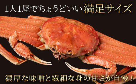 北海道産 大ズワイ 300g～350g ×3尾 ＜斉藤水産＞ オオズワイ 蟹 かに カニ ボイル AM114