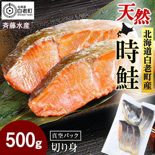 白老町産 時鮭 トキシラズ 500g 真空パック〈斉藤水産〉