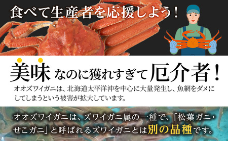 オオズワイガニ姿600g~750g×1尾<超特大> AM188