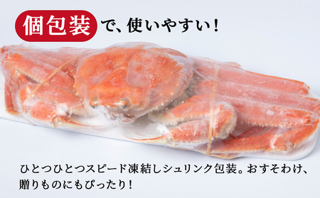 オオズワイガニ姿600g~750g×1尾<超特大> AM188