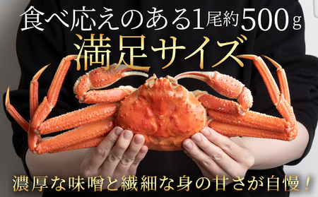 大ズワイガニ姿600g~750g×2尾<超特大> AM189