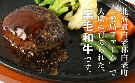 大人気!黒毛和牛手作りハンバーグセット≪敷島ファーム≫