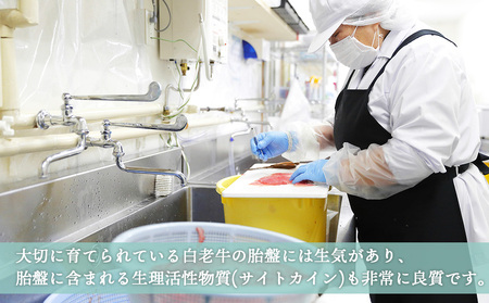 【定期便・全6回】北海道白老産 生プラセンタ美容液 ～アヨロのピリカ～