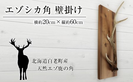 【20%OFF】北海道産 エゾシカ角 4本セット【良形・45〜60cm】 エゾシカ角 壁掛け（横約20cm×縦約60㎝） | 北海道白老町 | ふるさと