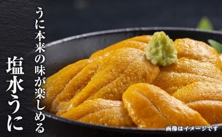 2025年 発送予約 ウニ本来の味が楽しめる【白老産】塩水ムラサキウニ 100g×2パック BT008 北海道ふるさと納税 北海道 ウニ うに 雲丹 むらさきうに 塩水 塩水ウニ