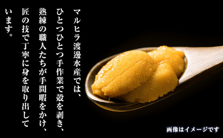 2026年 発送予約 ウニ本来の味が楽しめる【白老産】塩水ムラサキウニ 100g×3パック BT009