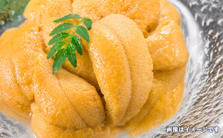 2026年 発送予約 ウニ本来の味が楽しめる【白老産】塩水ムラサキウニ 100g×3パック BT009