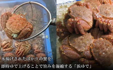 【小サイズ】北海道産 冷凍ボイル毛ガニ (350g-380g前後) 2尾 AS086